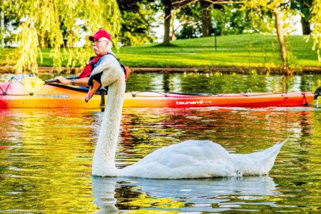 White Swan and kayak