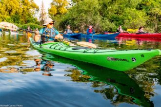 Diane Parker outon a social paddle at Harbourfront Canoe & Kayak Centre