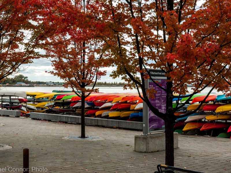 Kayak racks at Harbourfront Canoe and Kayak Centre