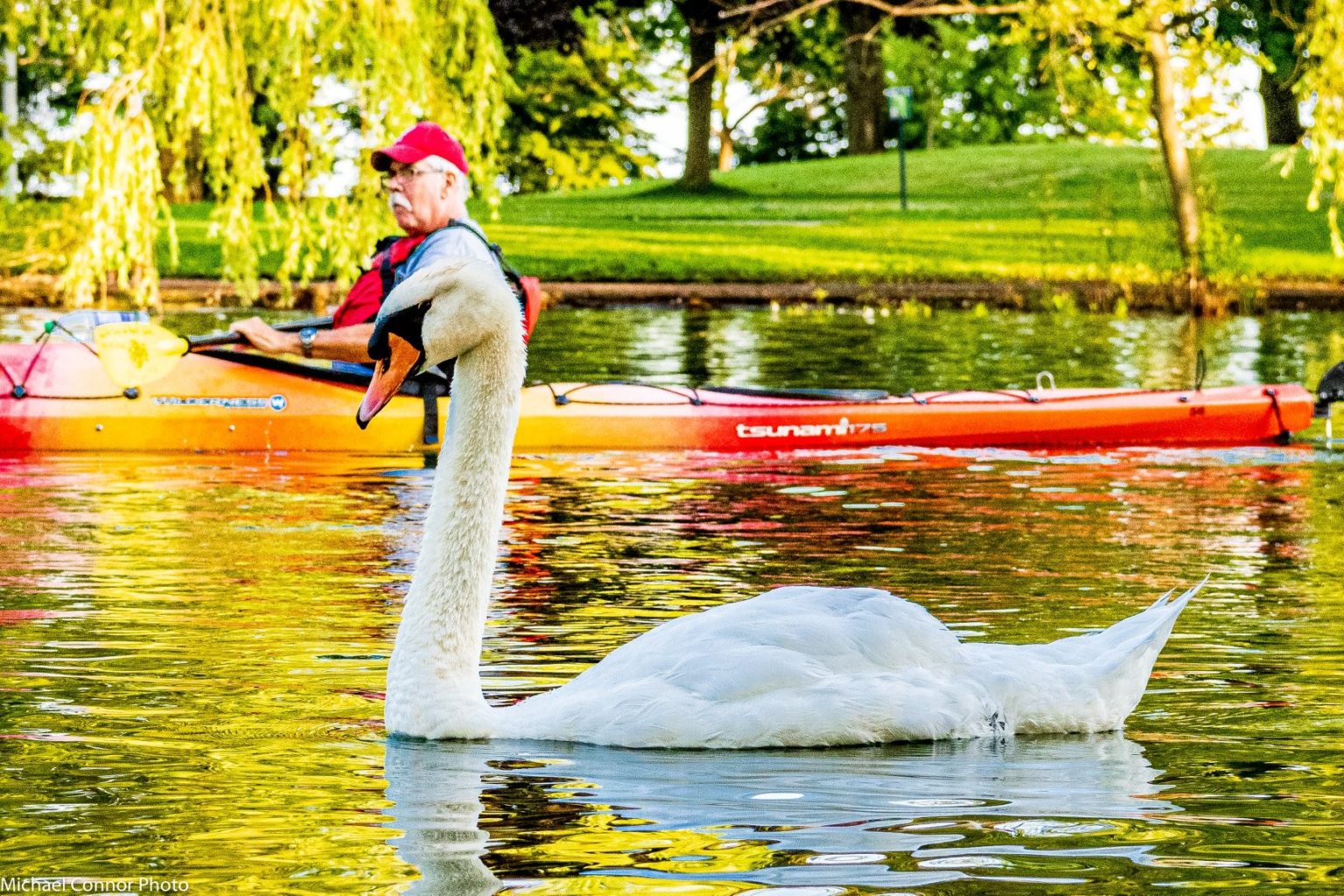 About Us | Harbourfront Canoe & Kayak Centre
